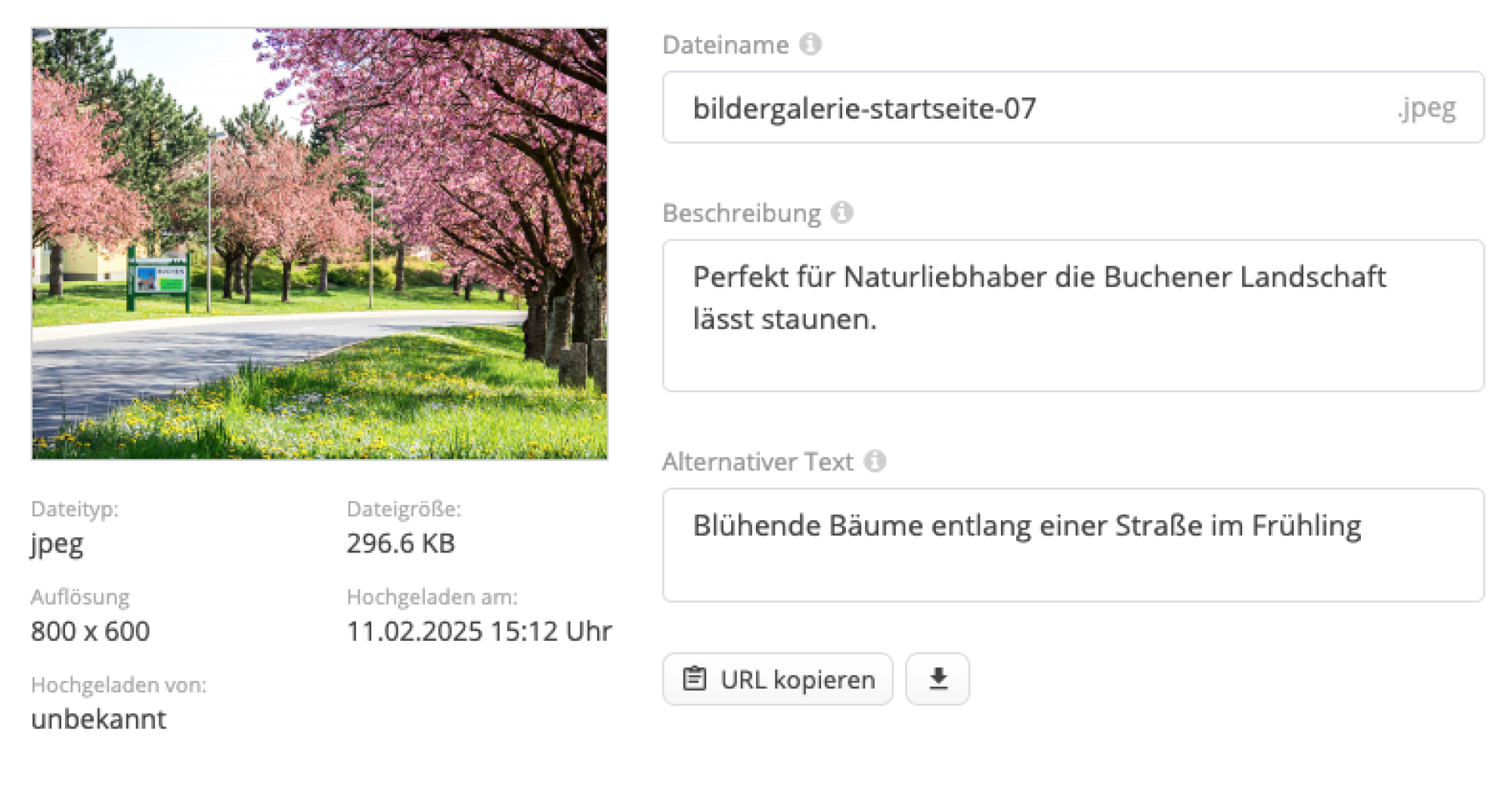 Zur Veranschaulichung des Unterschieds zwischen Bildbeschreibung und Alt-Text