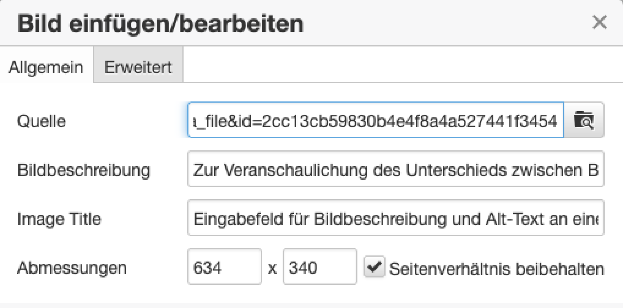 Veranschaulichung des Eingabefeldes bei direktem Hinzufügen