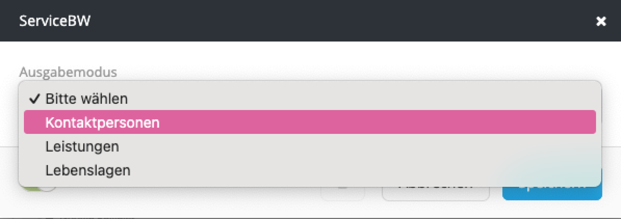 Auswahlmöglichkeiten Service BW Auswahlmöglichkeiten Service BW